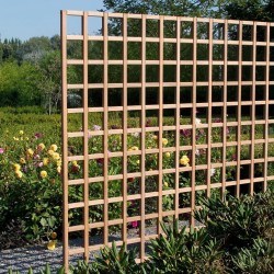 Treillis exotique maille carré 180x180cm 