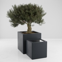 VIERKANTE PLANTENBAK EOS voor landschapsarchitecten en gemeenten