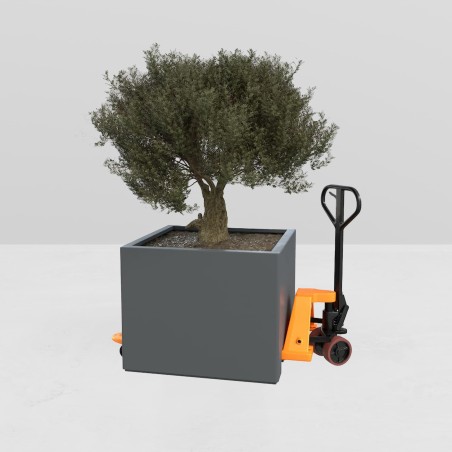 VERWIJDERBARE BAK ARGOS